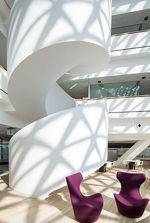 SAHMRI Building, North Terrace, Adelaide, South Australia, Woods Bagot, Hindmarsh, Aurecon