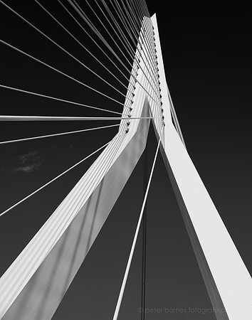 Rotterdam15-231-euroawards
